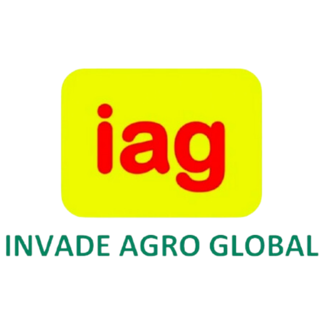 Partner logo 10